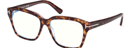 Tom Ford 5955B Glasses