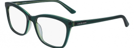 Calvin Klein CK 19529 Glasses