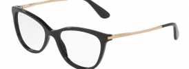 Dolce & Gabbana DG 3258 Glasses