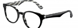 Dolce & Gabbana DG 3361 Glasses