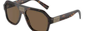Dolce & Gabbana DG 4433 Sunglasses