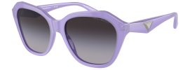 Emporio Armani EA 4221 Sunglasses