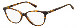 Pierre Cardin P.C. 8487 Glasses