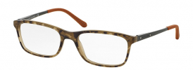 Ralph Lauren RL 6134 Glasses