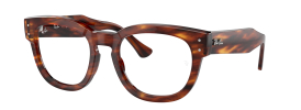 Ray-Ban RX0298V MEGA HAWKEYE Glasses