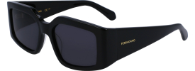 Salvatore Ferragamo SF 1101S Sunglasses