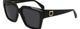 Salvatore Ferragamo SF 2014S Sunglasses