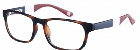 Superdry SDO Kabu Glasses