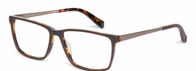 Ted Baker 8218 SILAS Glasses