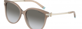 Tiffany & Co TF 4193B Sunglasses
