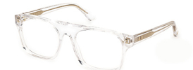 Web Eyewear WE 5436 Glasses
