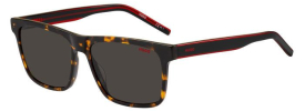 Hugo Boss Hugo HG 1242/S Sunglasses