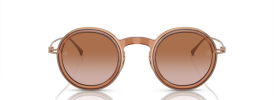 335213 - Shiny Transparent Brown