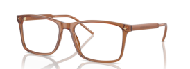 5932 - Transparent Brown