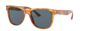 Giorgio Armani AR 8133 Sunglasses