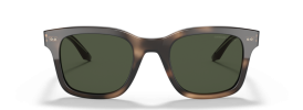 Giorgio Armani AR 8138 Sunglasses