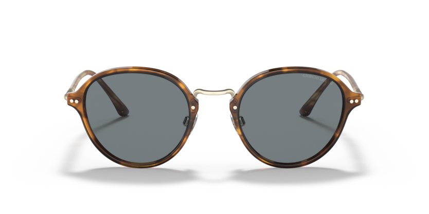 5762R5 - Brown Tortoise