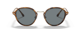 5762R5 - Brown Tortoise