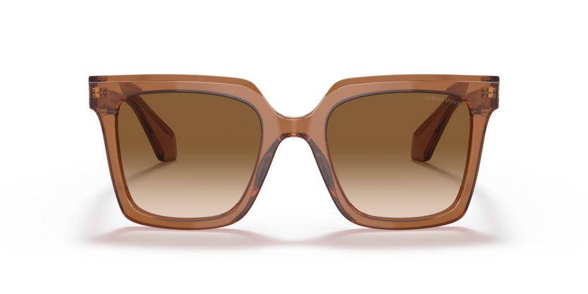 593251 - Transparent Brown