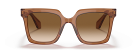 593251 - Transparent Brown