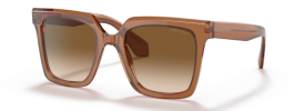 593251 - Transparent Brown