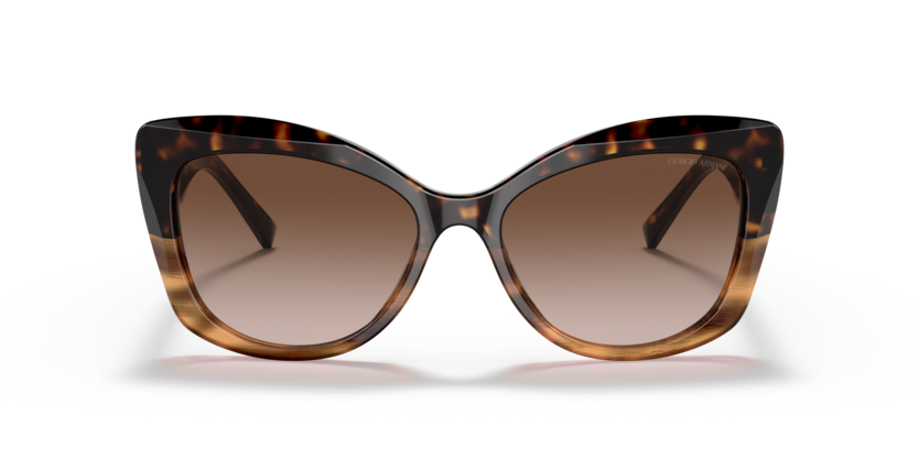 592913 - Havana/Striped Brown