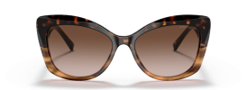 592913 - Havana/Striped Brown