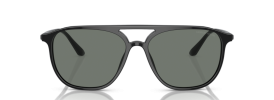 Giorgio Armani AR 8179 Sunglasses