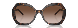 Giorgio Armani AR 8180 Sunglasses