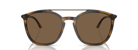 Giorgio Armani AR 8198 Sunglasses