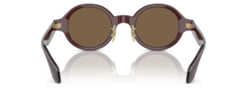 606273 - Transparent Brown