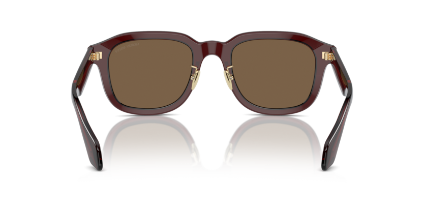 606273 - Transparent Brown