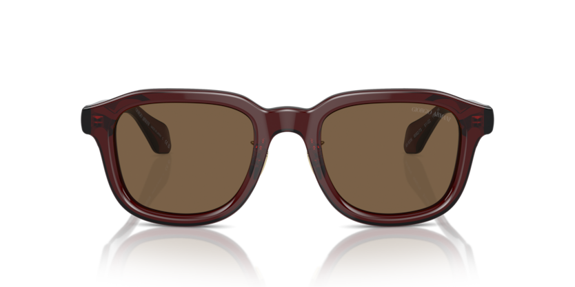 606273 - Transparent Brown