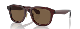 606273 - Transparent Brown