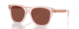 6073C5 - Transparent Pink