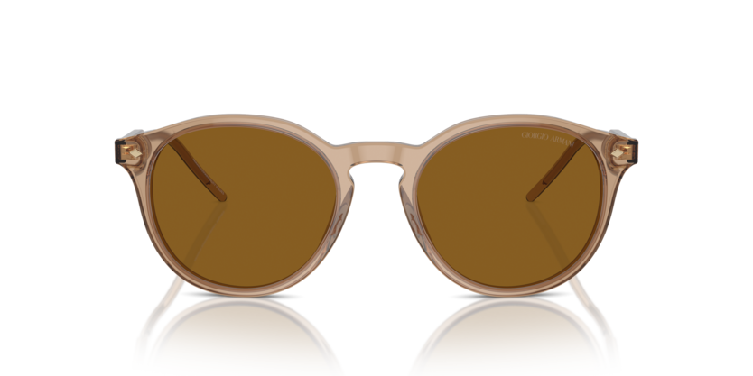 607233 - Transparent Brown