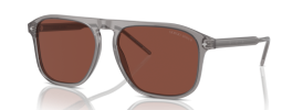 6070C5 - Transparent Grey