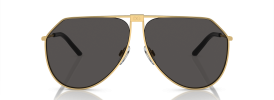 Dolce & Gabbana DG 2248 Sunglasses