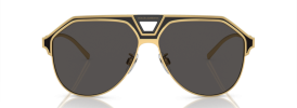 Dolce & Gabbana DG 2257 Sunglasses