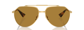 Dolce & Gabbana DG 2302 Sunglasses