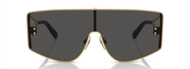 Dolce & Gabbana DG 2305 Glasses