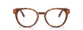 Dolce & Gabbana DG 3361 Glasses