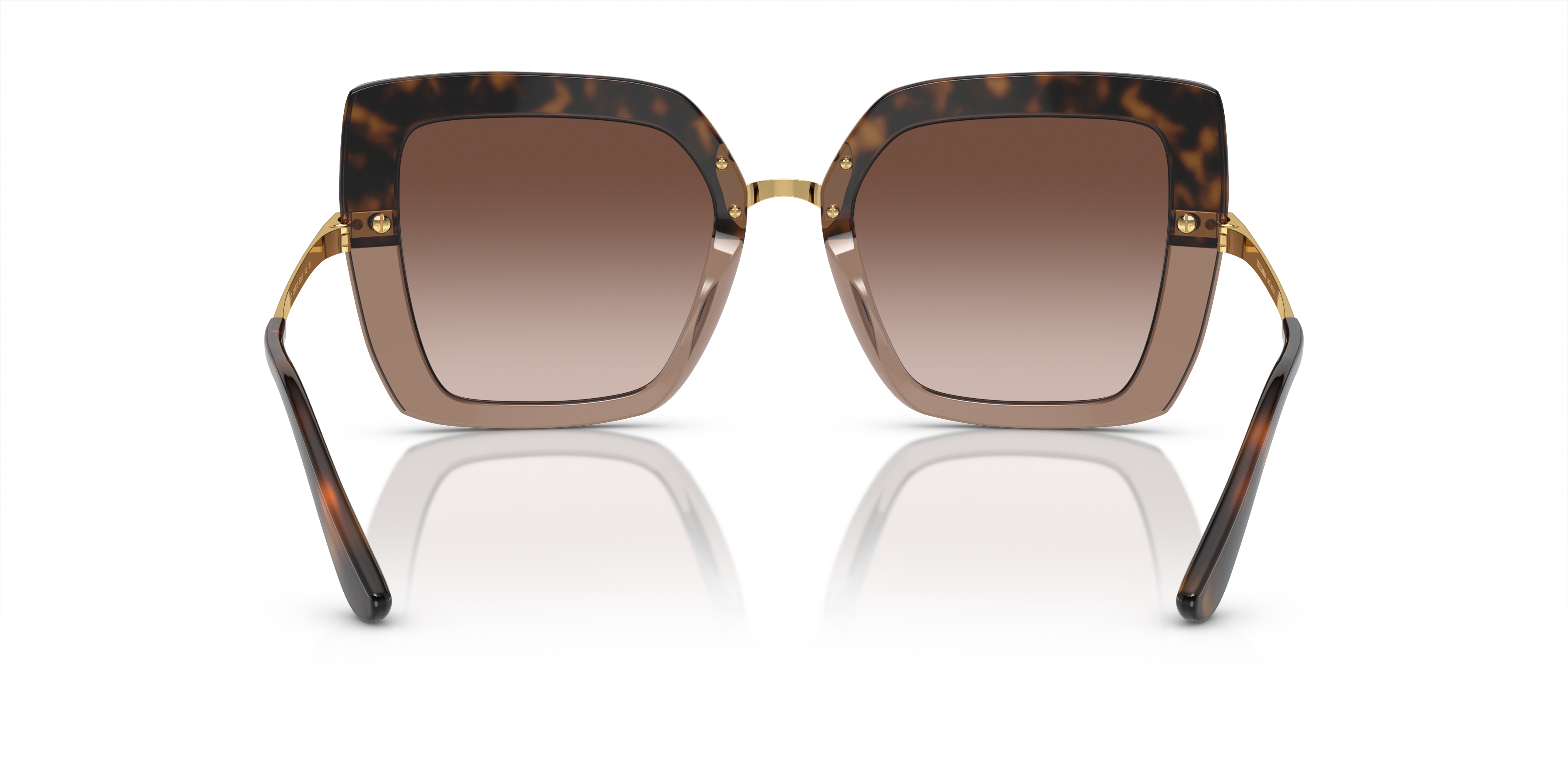 325613 - Havana On Transparent Brown