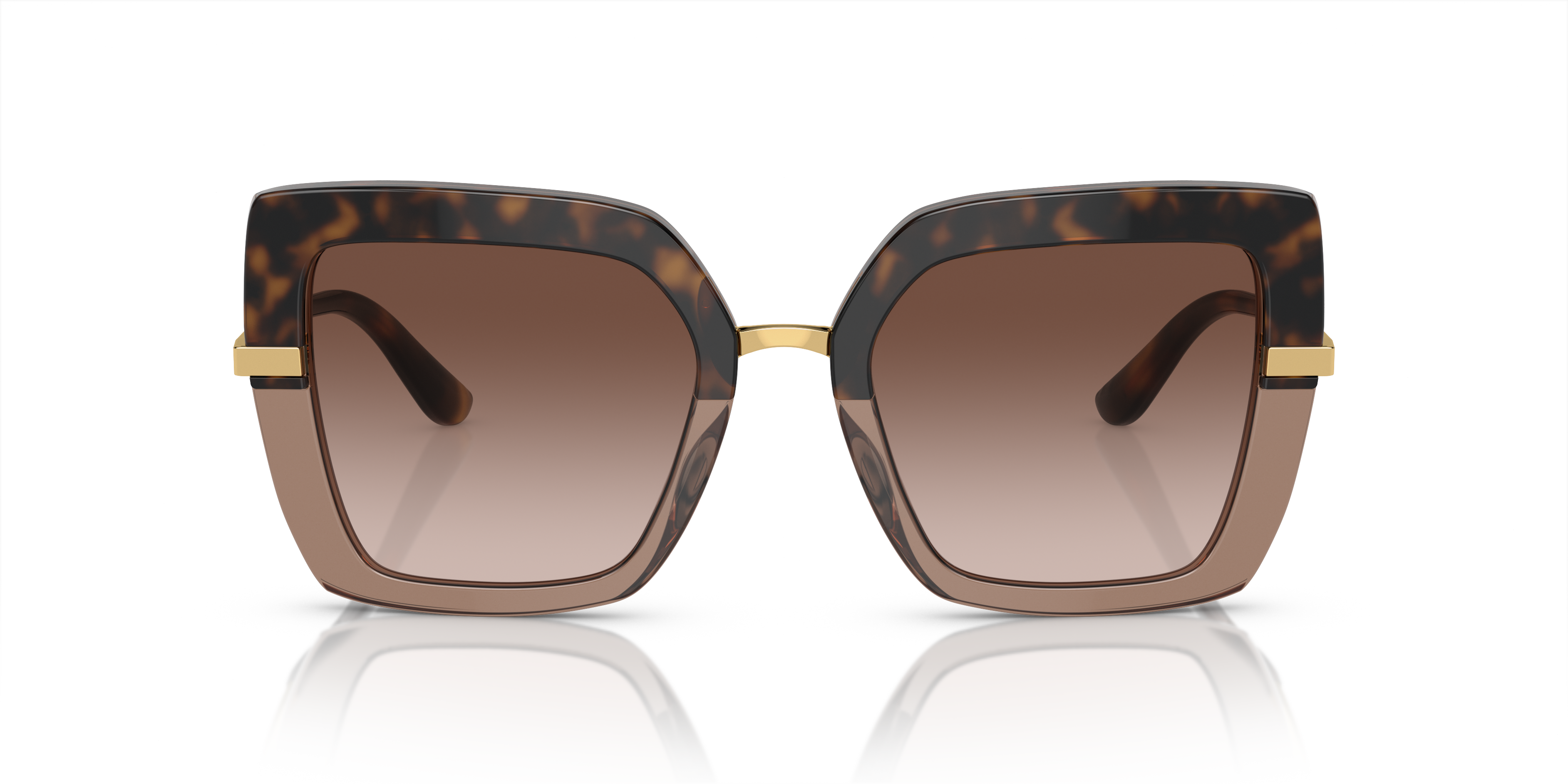 325613 - Havana On Transparent Brown