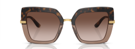 325613 - Havana On Transparent Brown