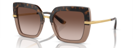 325613 - Havana On Transparent Brown