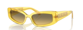 343311 - Transparent Yellow