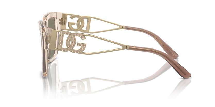 343203 - Transparent Camel