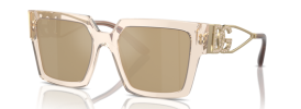 343203 - Transparent Camel