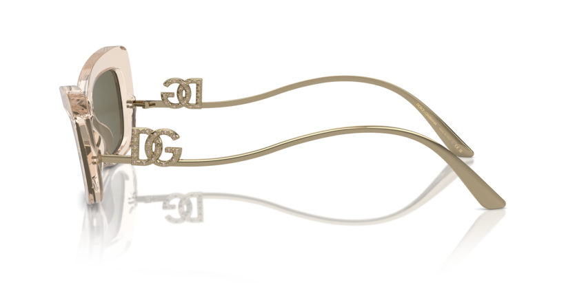 343203 - Transparent Camel